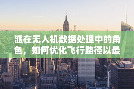 派在无人机数据处理中的角色，如何优化飞行路径以最小化电池消耗？