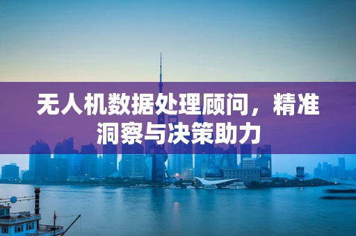 无人机数据处理顾问，精准洞察与决策助力