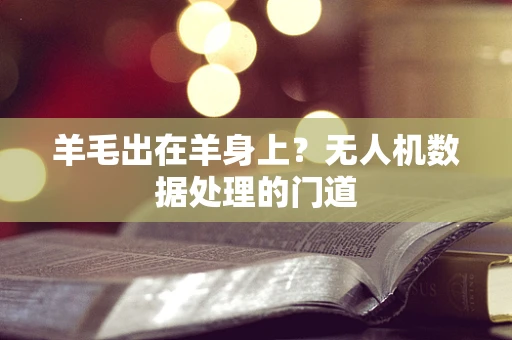 羊毛出在羊身上？无人机数据处理的门道