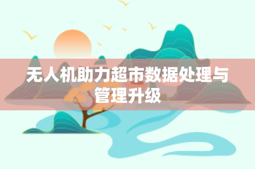 无人机助力超市数据处理与管理升级