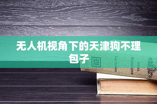 无人机视角下的天津狗不理包子