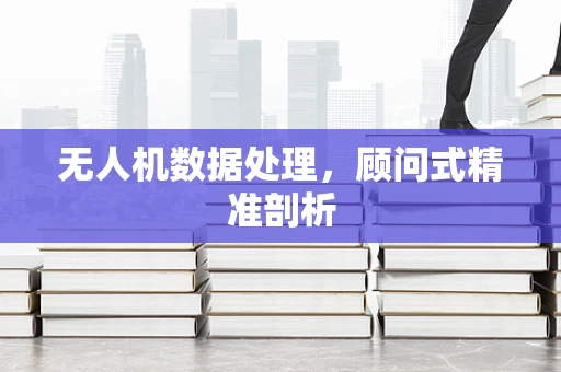 无人机数据处理，顾问式精准剖析