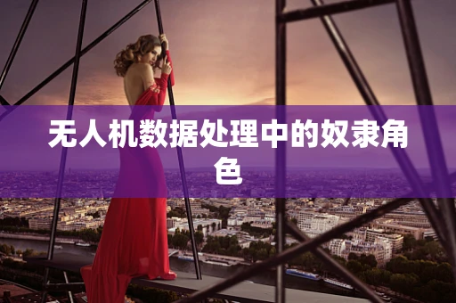 无人机数据处理中的奴隶角色