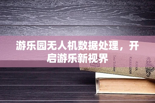 游乐园无人机数据处理，开启游乐新视界