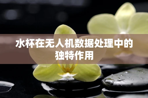 水杯在无人机数据处理中的独特作用
