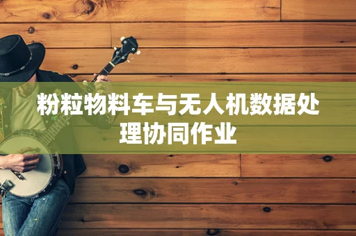 粉粒物料车与无人机数据处理协同作业