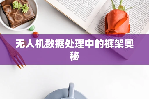 无人机数据处理中的裤架奥秘