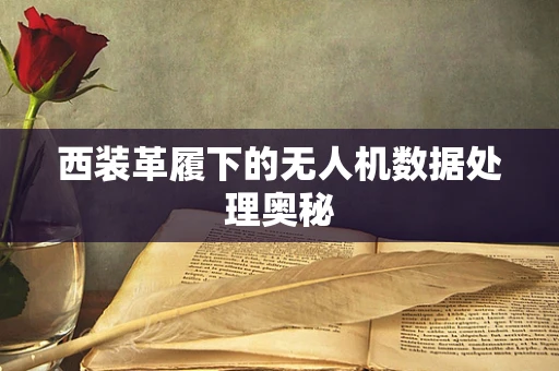 西装革履下的无人机数据处理奥秘