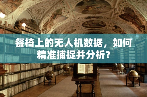 餐椅上的无人机数据，如何精准捕捉并分析？