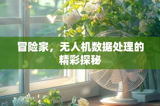 冒险家，无人机数据处理的精彩探秘
