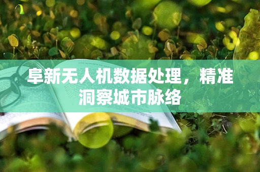 阜新无人机数据处理，精准洞察城市脉络