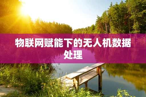 物联网赋能下的无人机数据处理