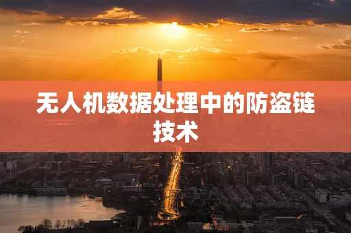 无人机数据处理中的防盗链技术