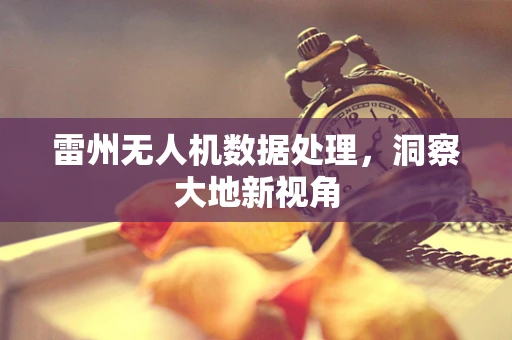 雷州无人机数据处理，洞察大地新视角