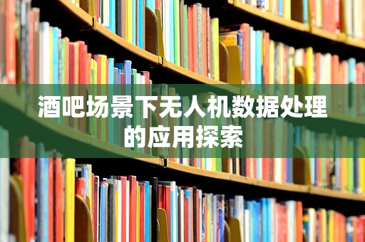 酒吧场景下无人机数据处理的应用探索