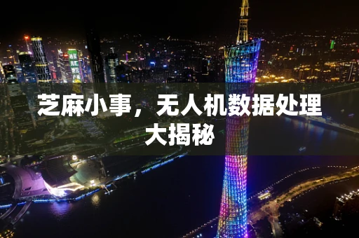 芝麻小事，无人机数据处理大揭秘