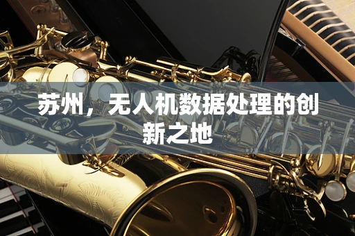 苏州，无人机数据处理的创新之地