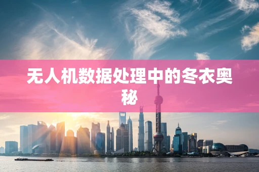 无人机数据处理中的冬衣奥秘