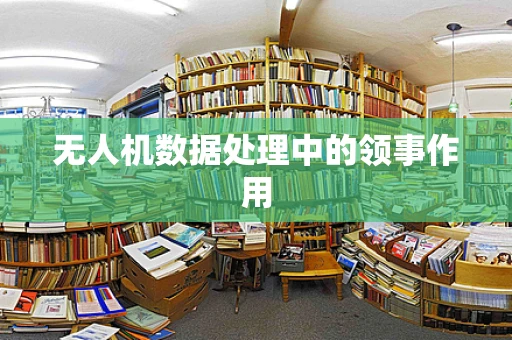 无人机数据处理中的领事作用