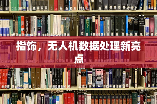 指饰，无人机数据处理新亮点