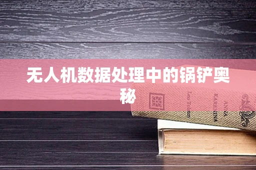 无人机数据处理中的锅铲奥秘