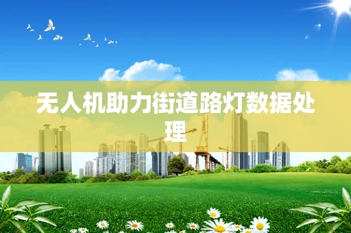 无人机助力街道路灯数据处理