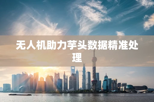 无人机助力芋头数据精准处理