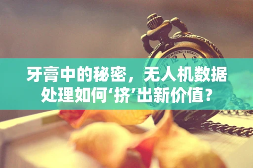 牙膏中的秘密，无人机数据处理如何‘挤’出新价值？