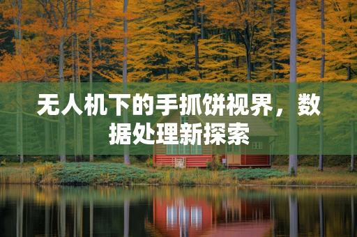 无人机下的手抓饼视界，数据处理新探索