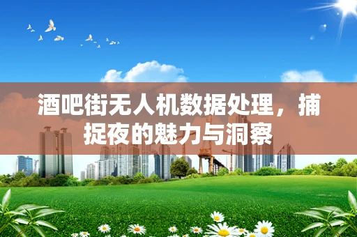 酒吧街无人机数据处理，捕捉夜的魅力与洞察