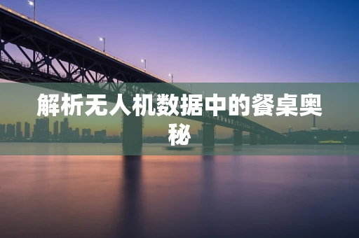 解析无人机数据中的餐桌奥秘