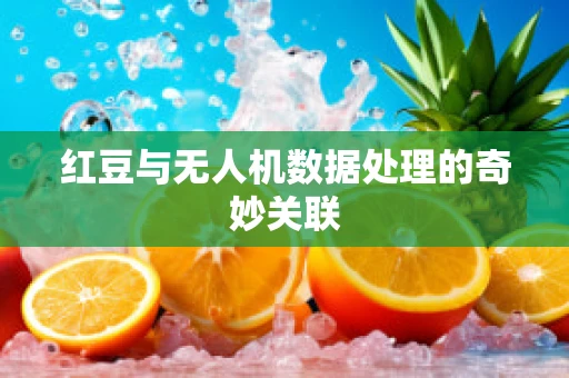 红豆与无人机数据处理的奇妙关联