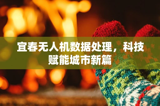 宜春无人机数据处理，科技赋能城市新篇