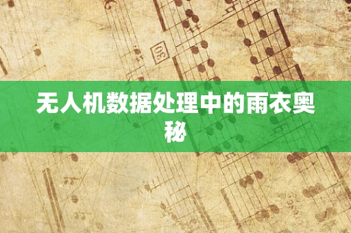 无人机数据处理中的雨衣奥秘