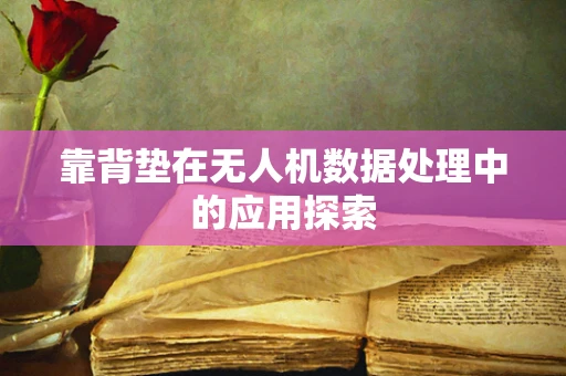 靠背垫在无人机数据处理中的应用探索