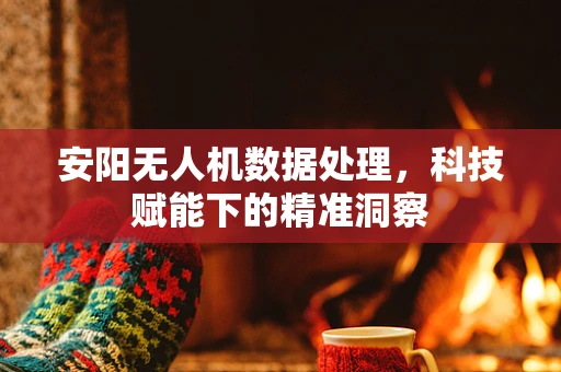 安阳无人机数据处理，科技赋能下的精准洞察