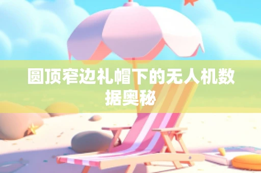 圆顶窄边礼帽下的无人机数据奥秘