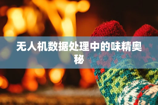 无人机数据处理中的味精奥秘