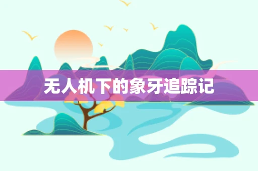 无人机下的象牙追踪记