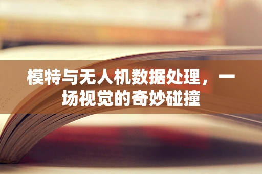 模特与无人机数据处理，一场视觉的奇妙碰撞