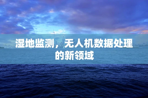 湿地监测，无人机数据处理的新领域