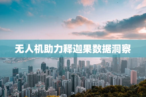 无人机助力释迦果数据洞察