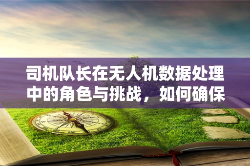 司机队长在无人机数据处理中的角色与挑战，如何确保高效、精准的飞行任务执行？