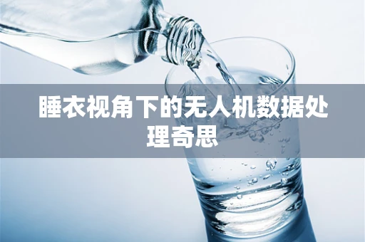 睡衣视角下的无人机数据处理奇思