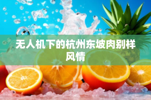 无人机下的杭州东坡肉别样风情