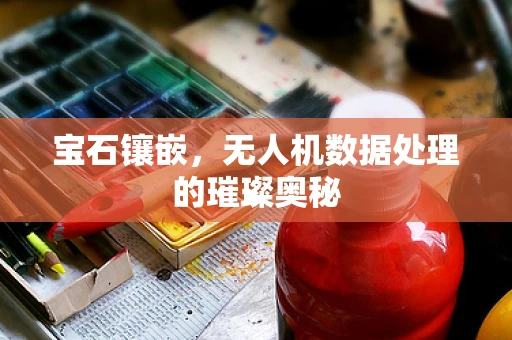 宝石镶嵌，无人机数据处理的璀璨奥秘