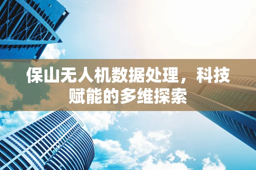 保山无人机数据处理，科技赋能的多维探索