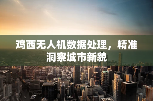 鸡西无人机数据处理，精准洞察城市新貌