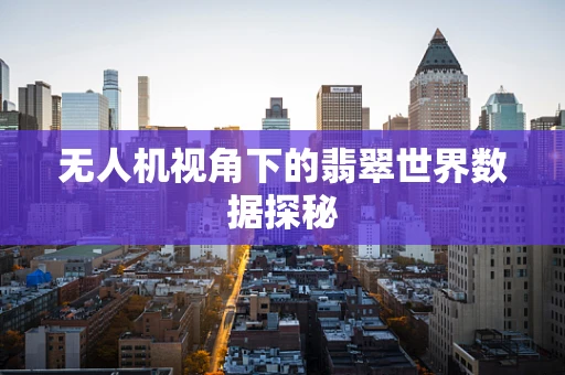 无人机视角下的翡翠世界数据探秘