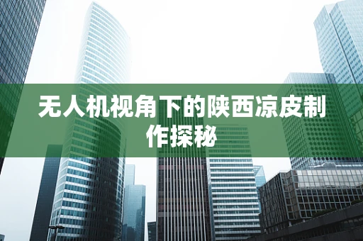无人机视角下的陕西凉皮制作探秘